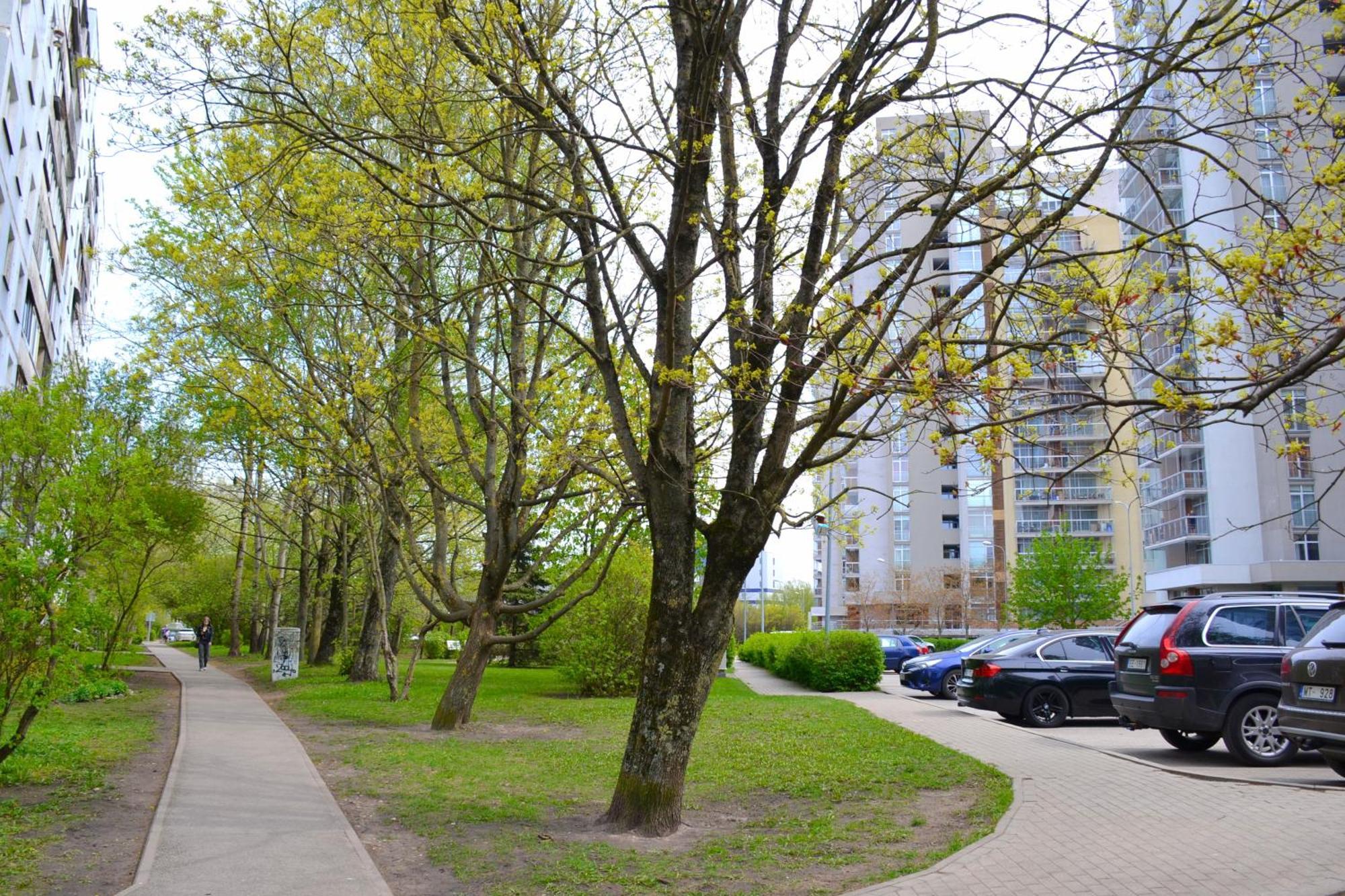 Imanta Apartment Riga 2Х Rooms 52М2 Exterior photo